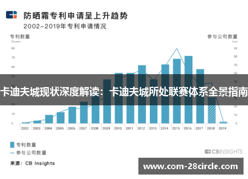 卡迪夫城现状深度解读:卡迪夫城所处联赛体系全景指南 卡迪夫城现状深度解读:卡迪夫城所处联赛体系全景指南