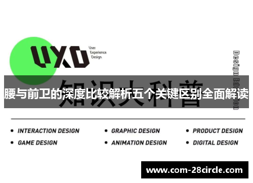 腰与前卫的深度比较解析五个关键区别全面解读