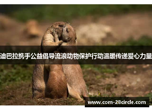 迪巴拉携手公益倡导流浪动物保护行动温暖传递爱心力量