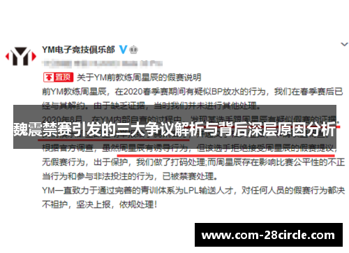 魏震禁赛引发的三大争议解析与背后深层原因分析