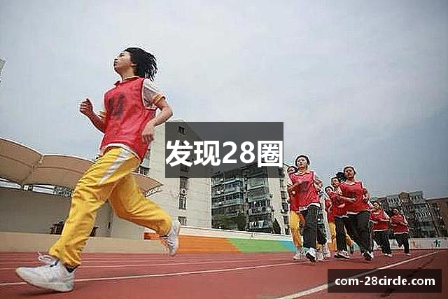 发现28圈